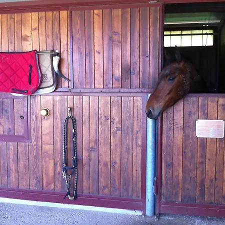 Bed & Breakfast Casal Dei Papi