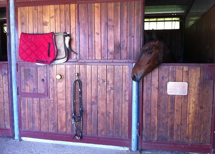 Bed & Breakfast Casal Dei Papi